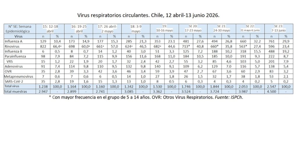 VIRUS RESPIRATORIO CIRCULANTE 13